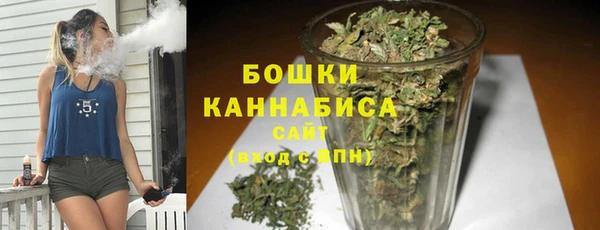 ешки Бородино