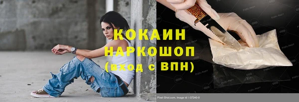 ешки Бородино