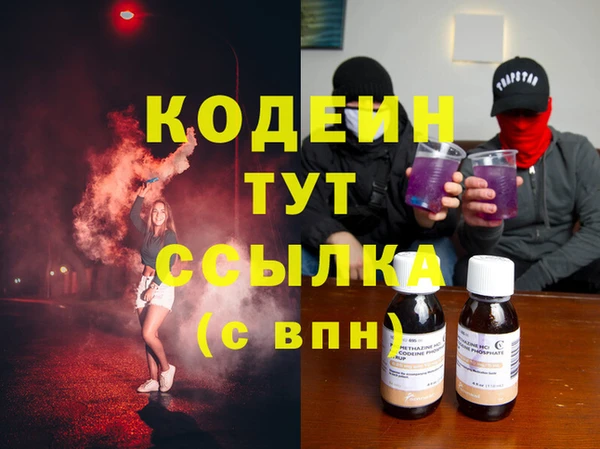 ешки Бородино