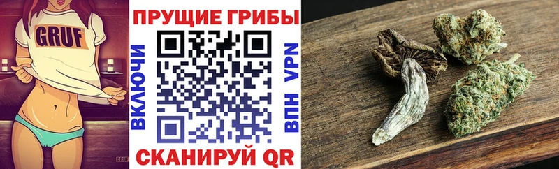 Галлюциногенные грибы Psilocybine cubensis  как найти закладки  Володарск 